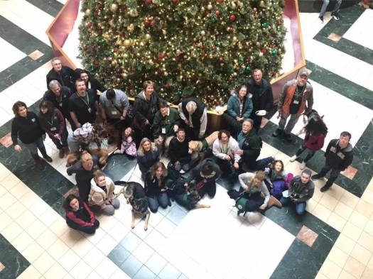An overhead view of our puppy raisers and their puppies standing in front of a large Christmas tree.